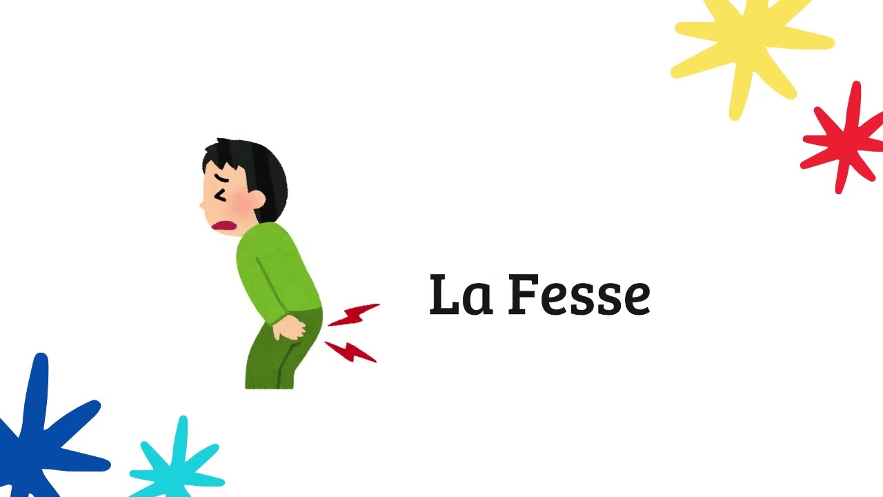 Partes del Cuerpo Humano en Francés (Vocabulario General) Part. 1// Le Corps