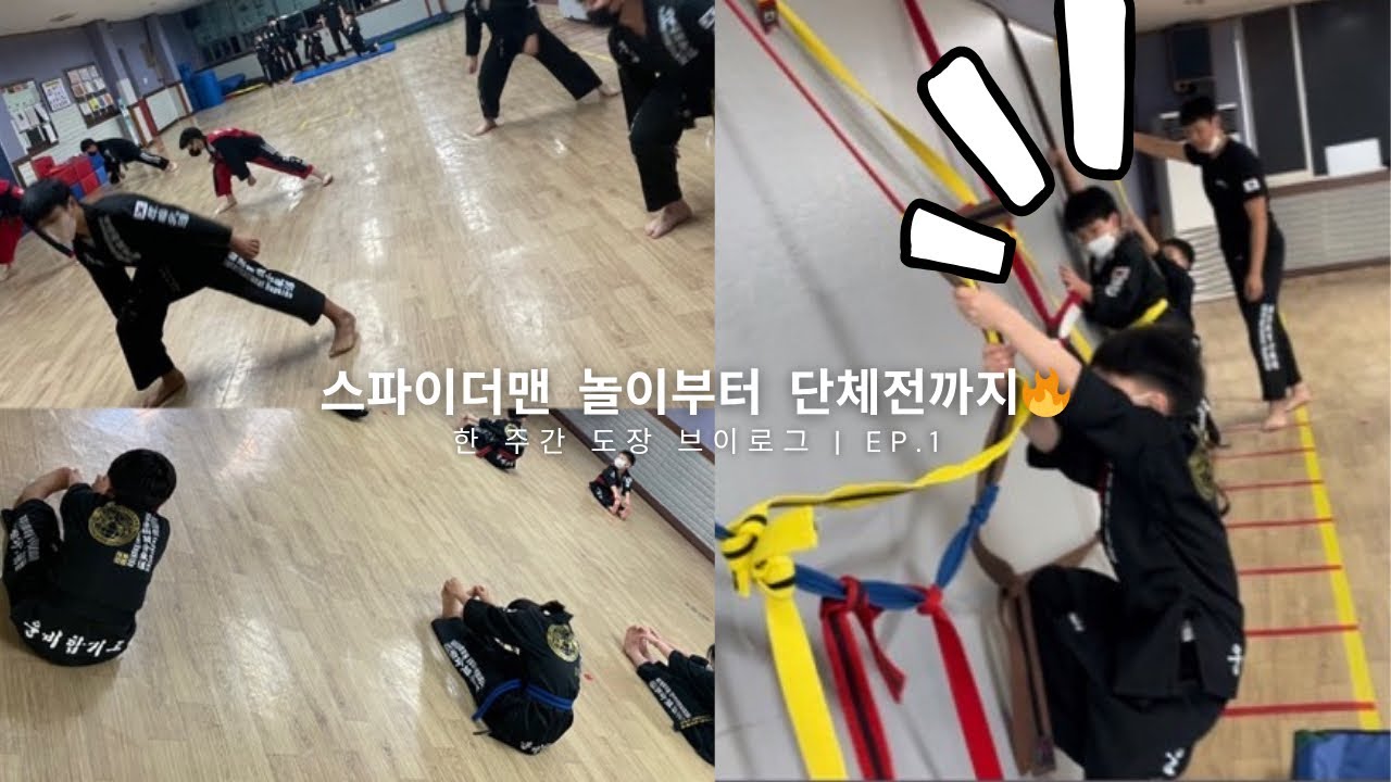 EP.1 도장에 거미줄이 생겼습니다?!🕷️(한 주간 이야기)