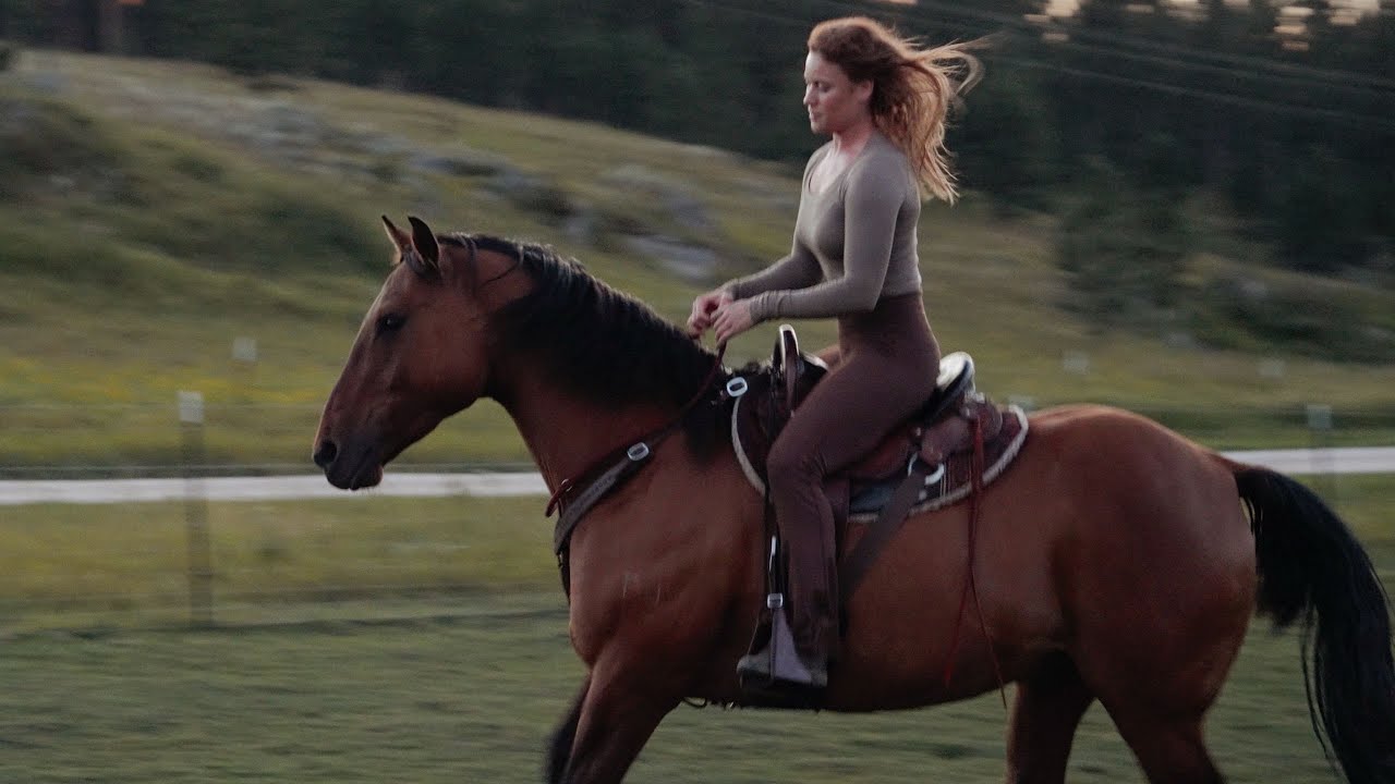 Life With Horses In The Forest | training my mustang at liberty, teaching my donkey to drive, chores