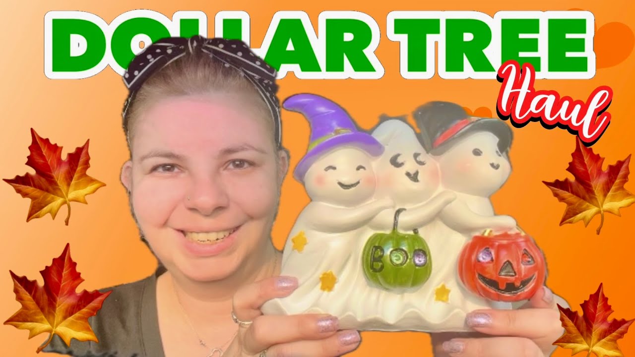 Dollar Tree Haul August 18, 2024