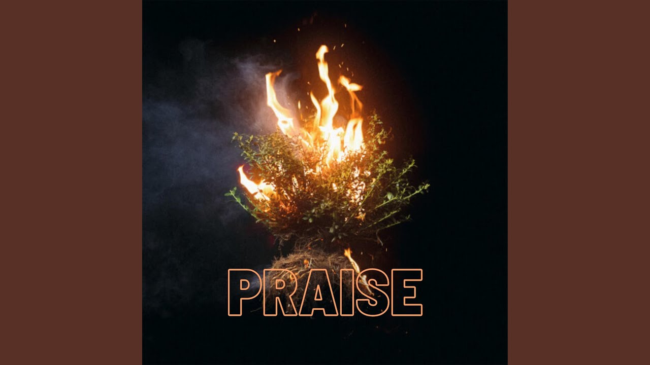 PRAISE (SebiLuca Remix)