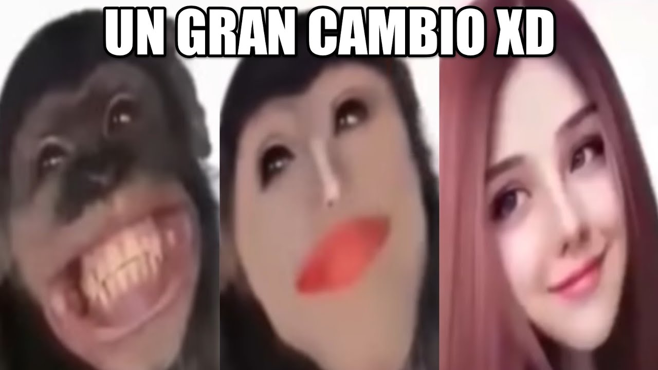 VIDEOS RANDOM #32, SI TE RIES PIERDES (Try Not To Laugh), Videos De Risa (Funny Videos) - Memer XD
