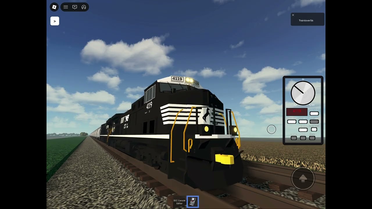 NS empty grain