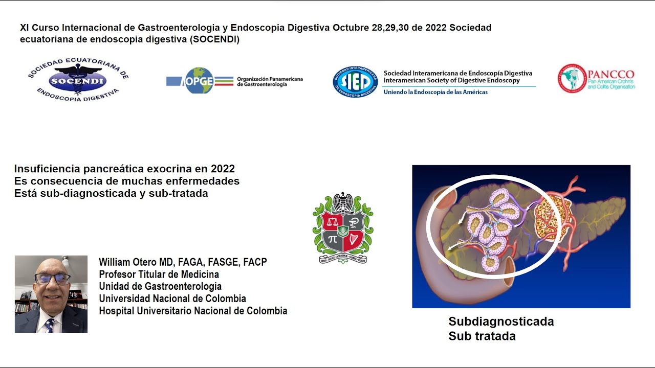 Insuficiencia pancreática exocrina en 2022