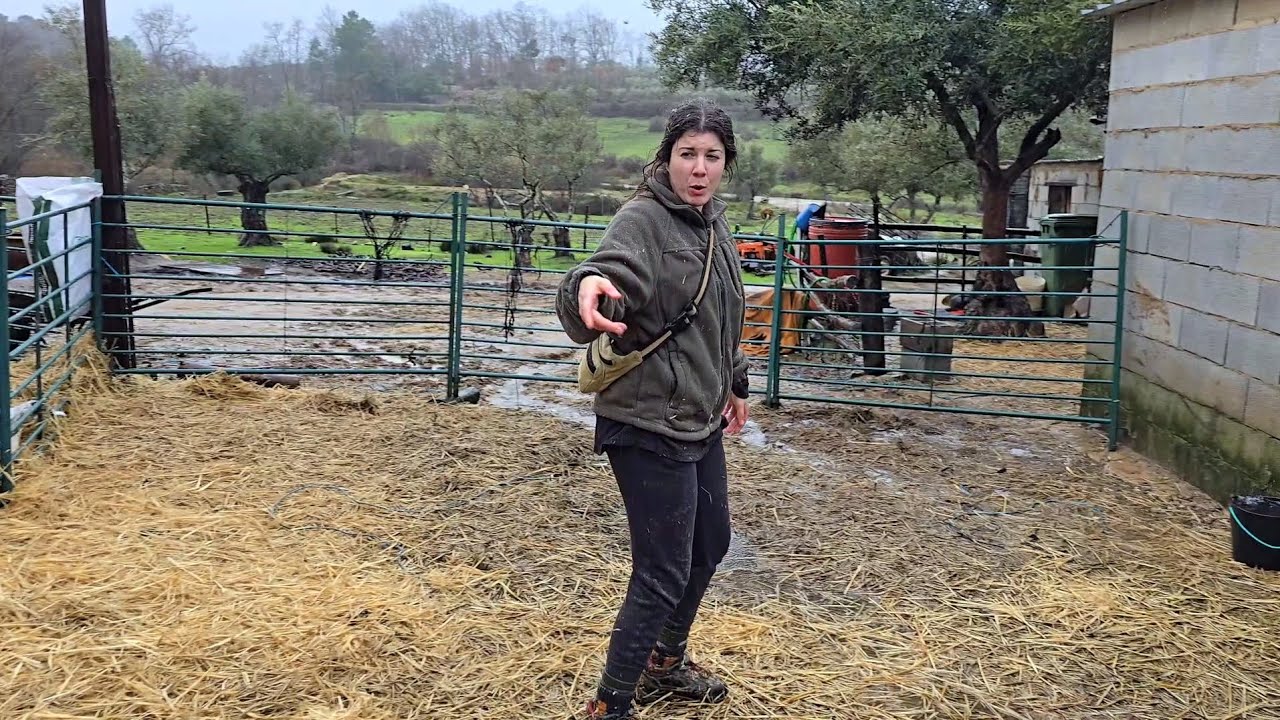 Nos está cayendo la invernada que decían los antiguos, no hay tregua