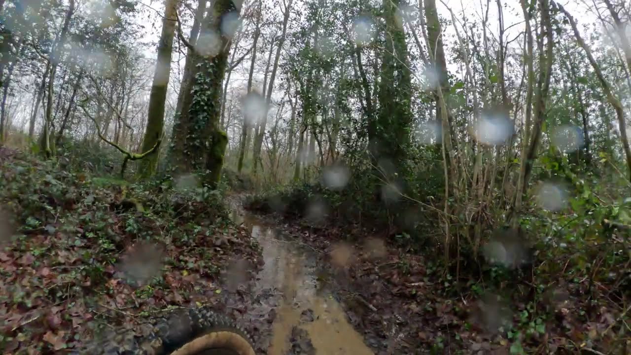 Mon Rockrider race 740, jusqu'à présent irréprochable: un déraillement en plein cœur de la forêt.
