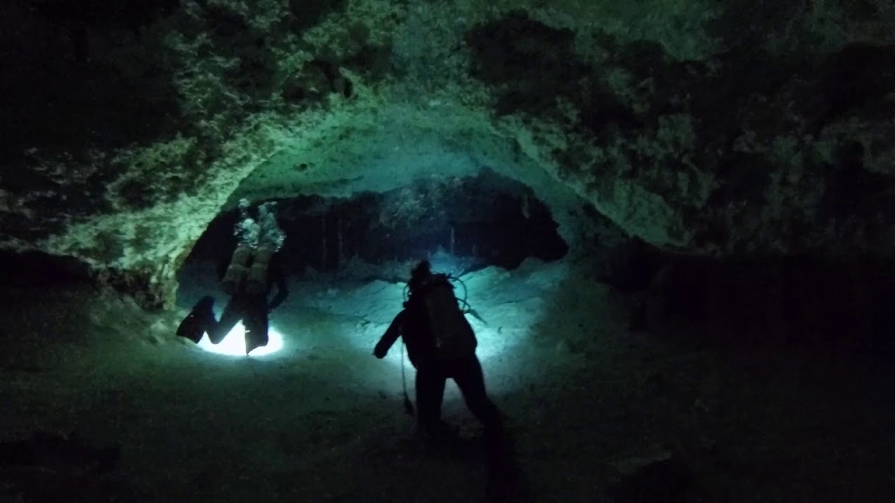 Cenote Exploration