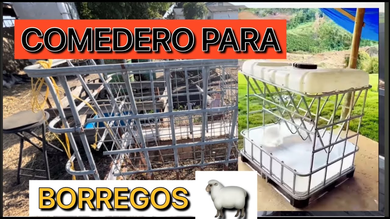 Como hacer un comedero para BORREGOS