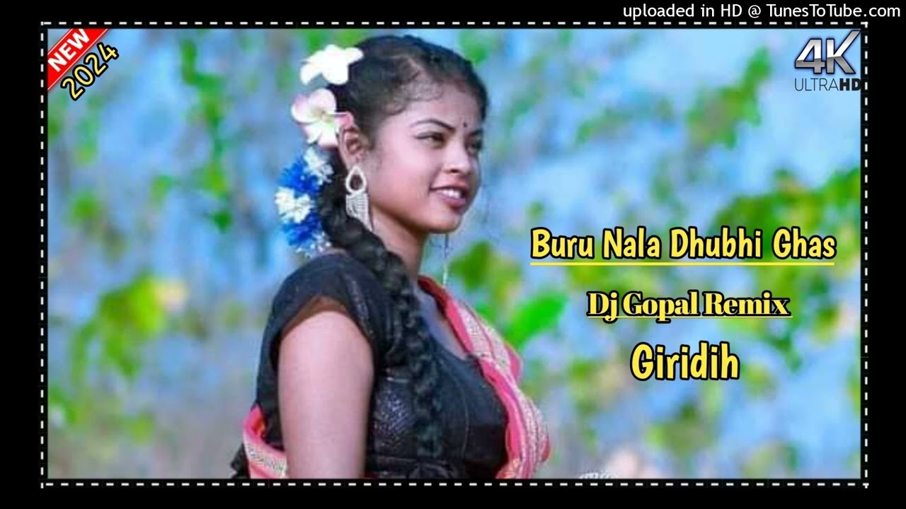 Buru Nala Dhubhi Ghas || New Santhali Shohrai Dj Song 2024 New Santhali Traditional Song 2024