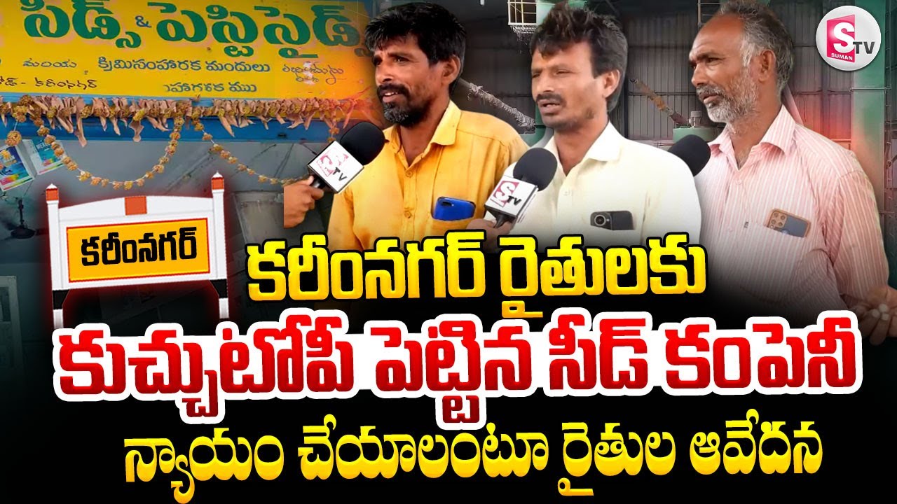 కరీంనగర్ రైతులకు కుచ్చుటోపీ పెట్టిన సీడ్ కంపెనీ! || Karimnagar Latest News || @SumanTVKarimnagar