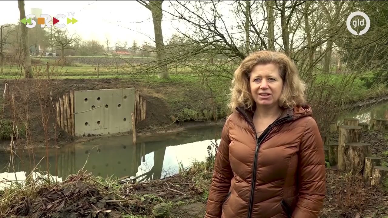 IJsvogels kunnen komen broeden in Terweijde