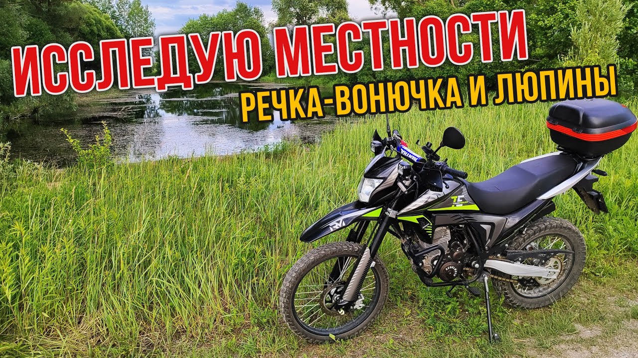Исследую местности. Ищу люпиновое поле