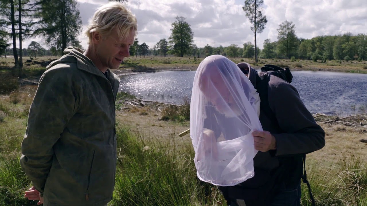 Vroege Vogels - Spinnenjacht op de heide van Drents-Friese Wold