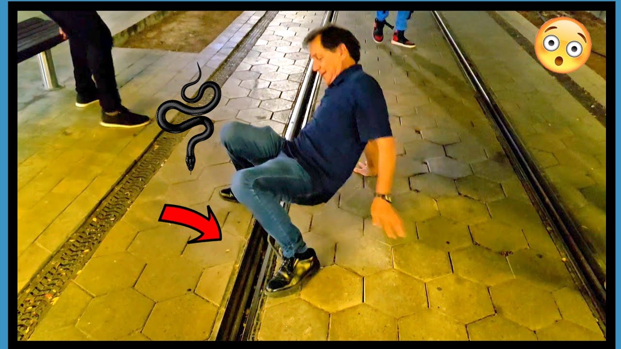 Snake Prank 🐍  in Oranjestad 🇦🇼 | Ban Caya Bek