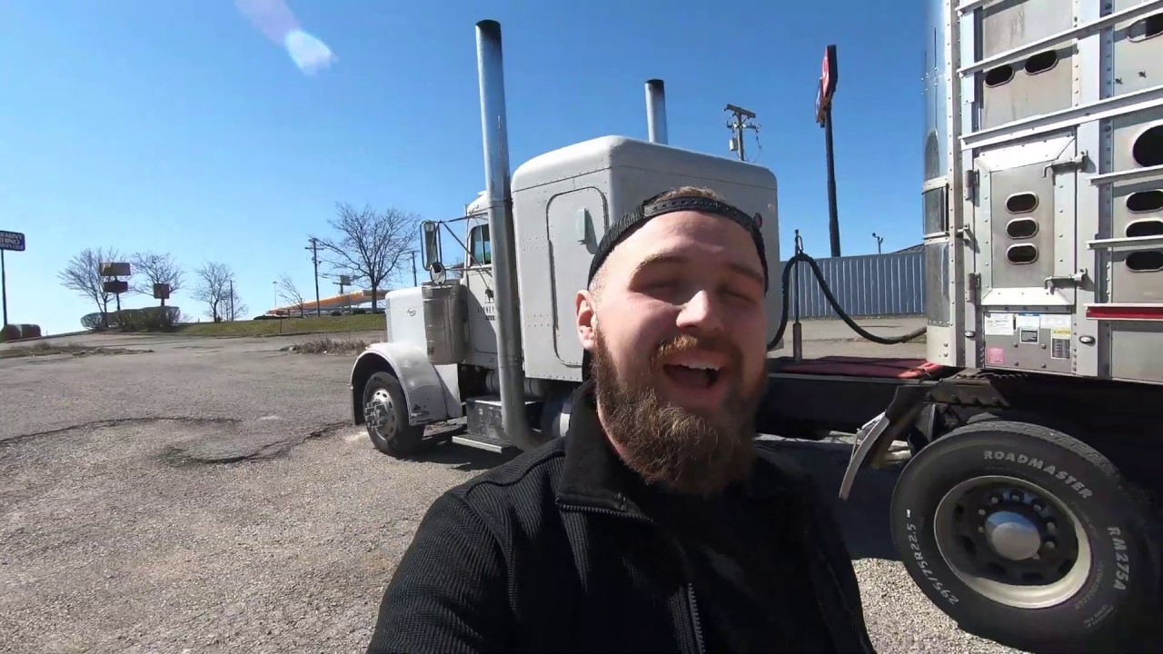 New cattle trailer walk around