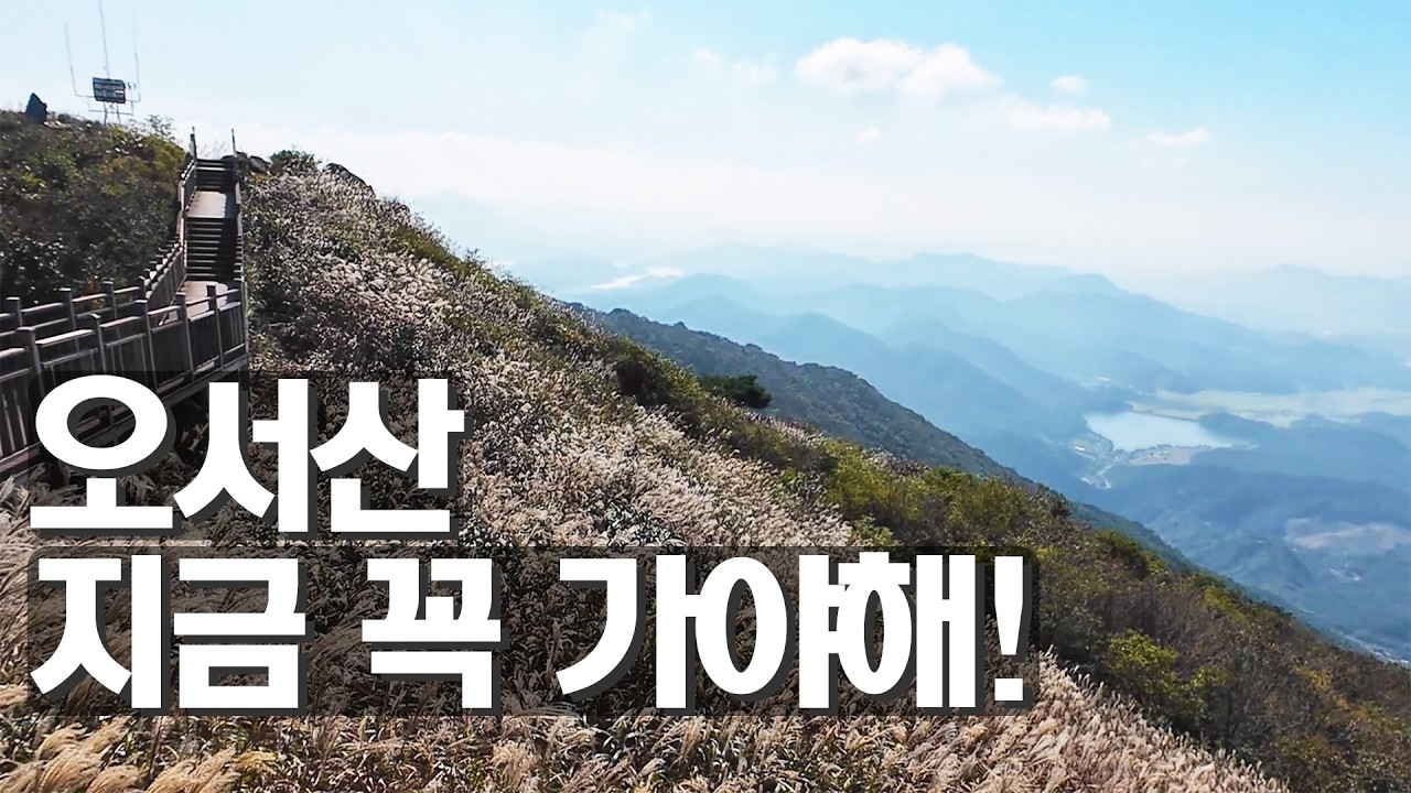 🌾당일치기 끝판왕 억새밭 힐링!! 오서산 - 수덕사 - 가야산 일몰 ✨충남 3대 명소 올인원 코스