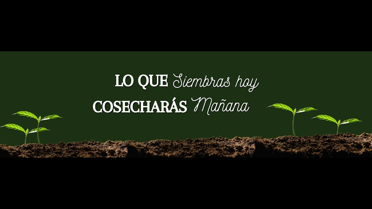 LO QUE SIEMBRAS HOY COSECHARÁS MAÑANA  - PASTPR MAURICIO SOTO