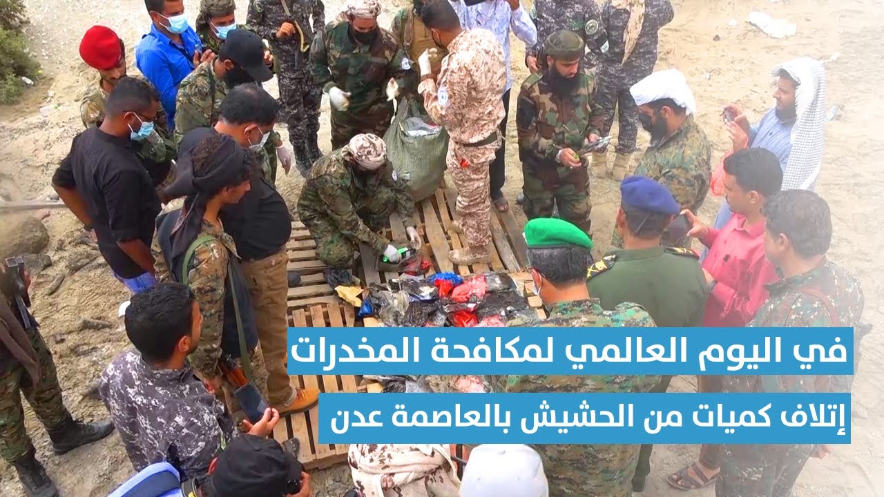 تقرير| في اليوم العالمي لمكافحة المخدرات.. إتلاف كميات من الحشيش بالعاصمة عدن