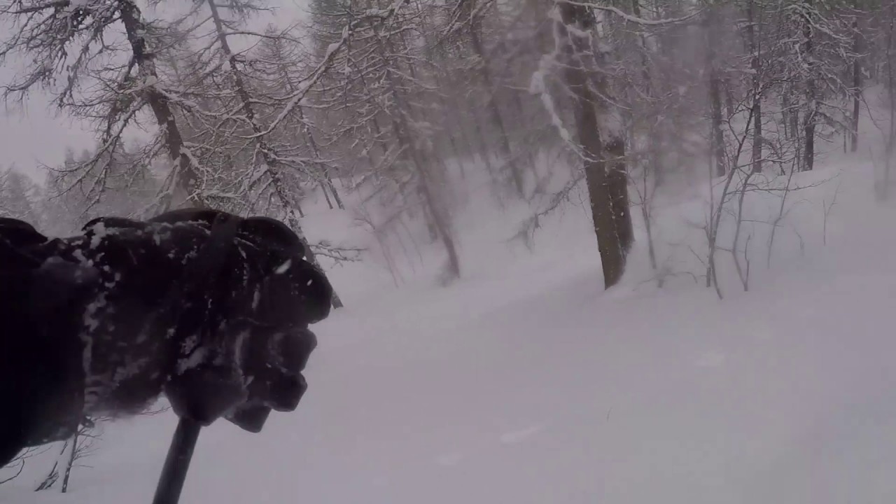 Fresh powder in the 