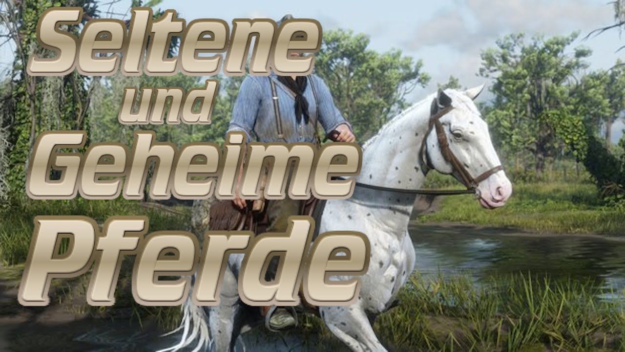 Red Dead Redemption 2|Extrem Seltene und Geheime Pferde!!!|Pferde