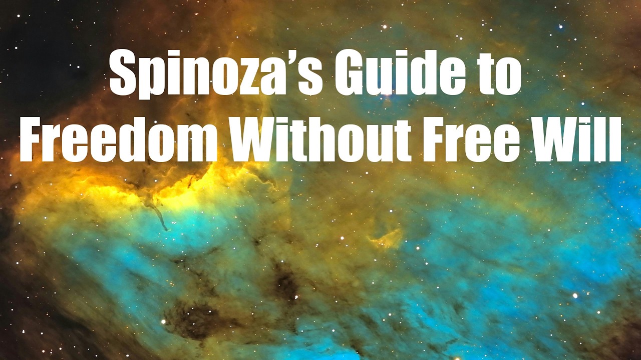 Spinoza’s Guide to Freedom Without Free Will | Determinism Explained