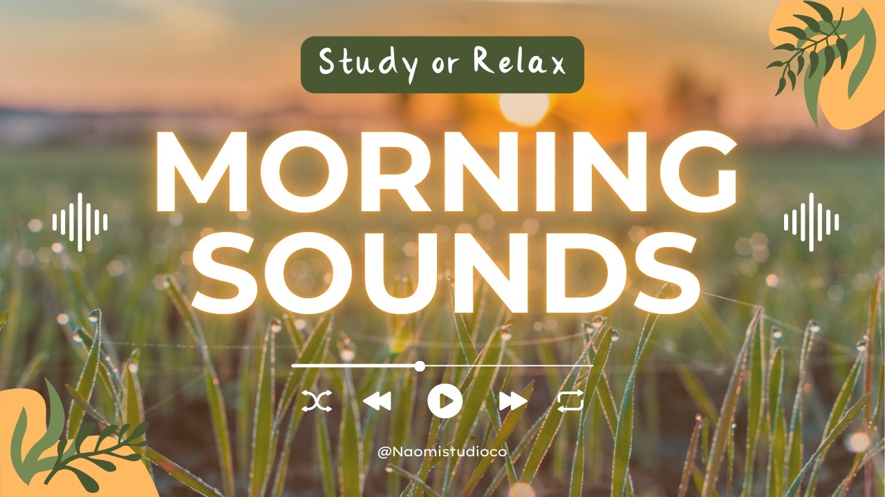Morning Nature Sounds (10 hours) 🌿 Birds Chirping, Wind Ambience for Study, Focus & Relax (Loop)