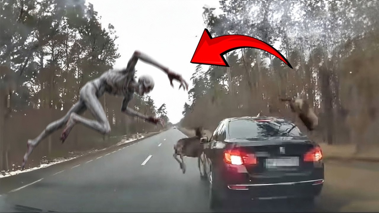 Disgusting Creature Just Fell From Sky & Terrified People! Here IS What Happened Next!