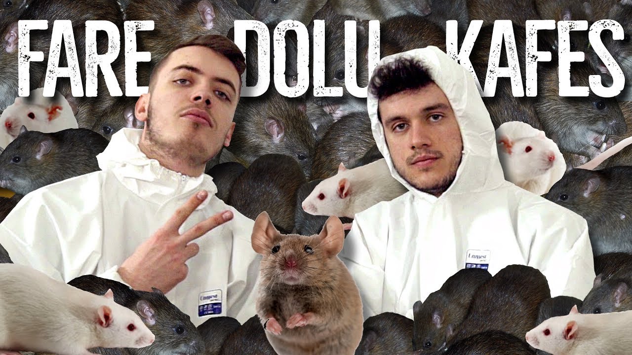 FARE DOLU KAFESE GİRDİK!