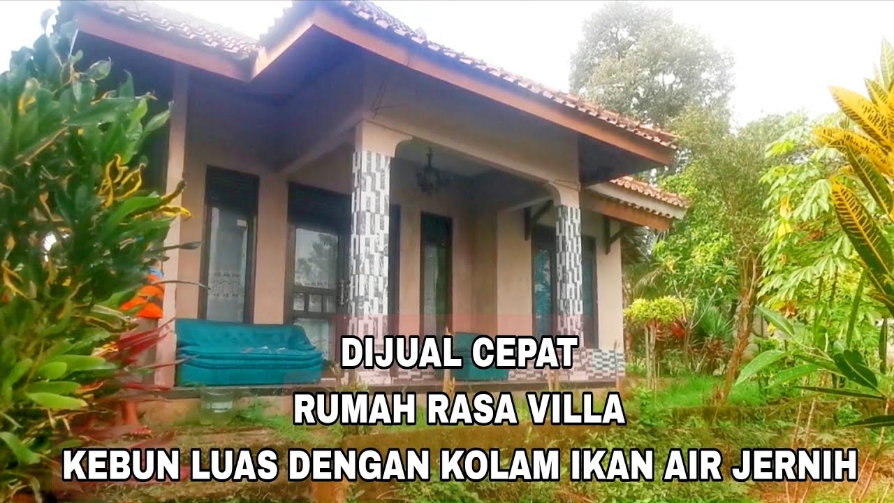 DI JUAL TANAH ADA RUMAH RASA VILLA KEBUN LUAS ADA KOLAM IKAN AIR JERNIH MENGALIR DERAS CIOMAS BOGOR