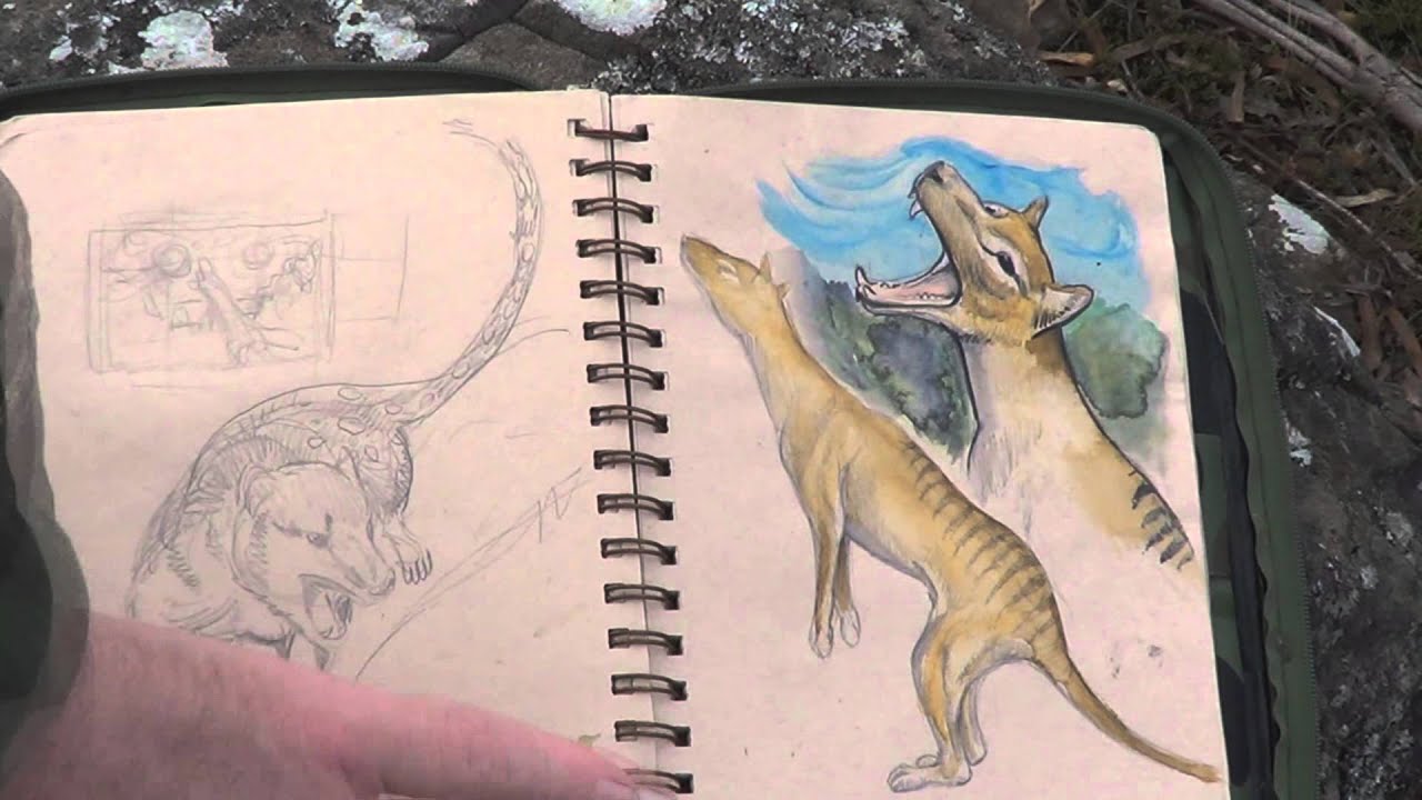 My Wildlife Sketch Book