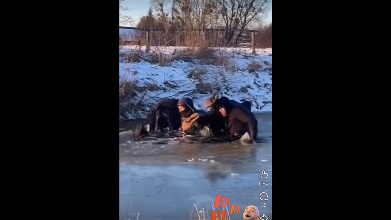 FUNNY MOMENTS DRUNK MENS