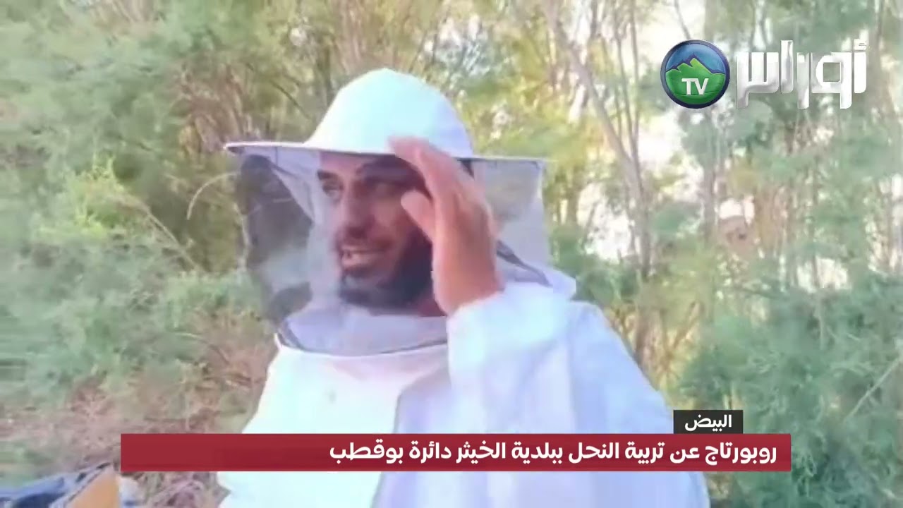 روبورتاج عن تربية النحل ببلدية الخيثر دائرة بوقطب
