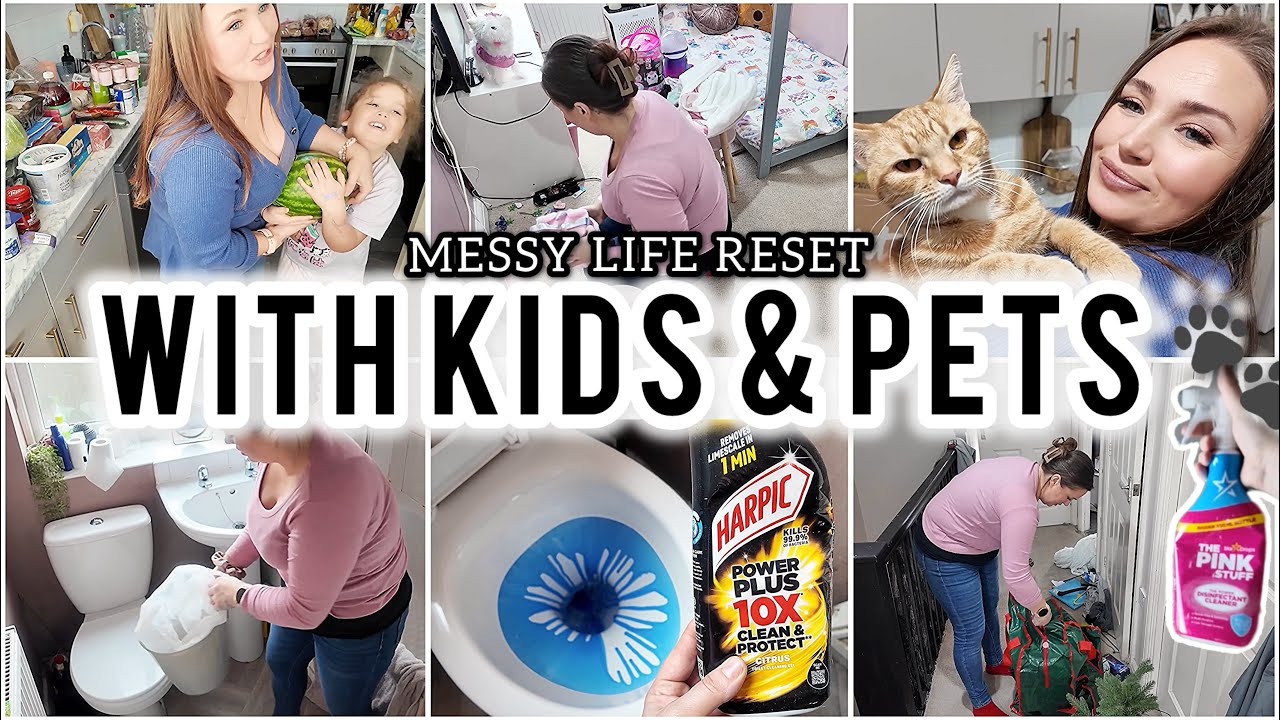 Messy Chaos Upstairs With Kids & Pets ☑️ Clean + Reset