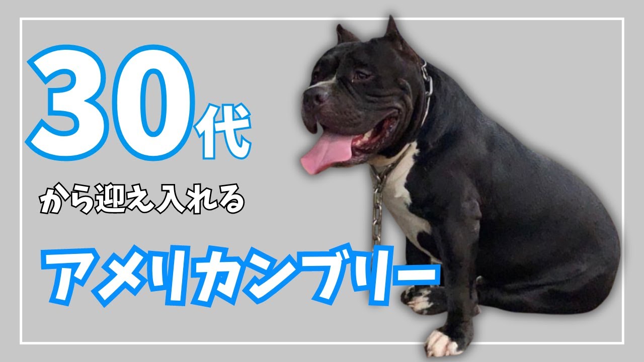 30代から迎え入れるアメリカンブリー
