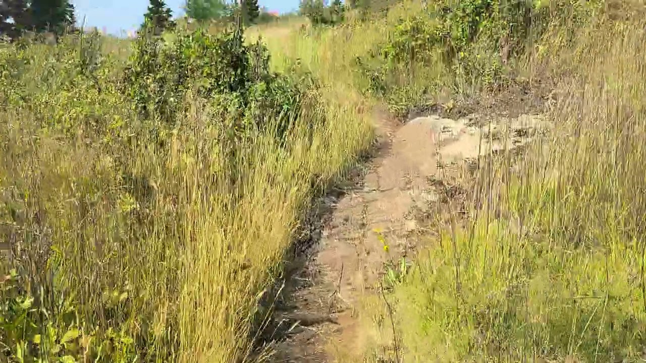 Greenstone Ridge