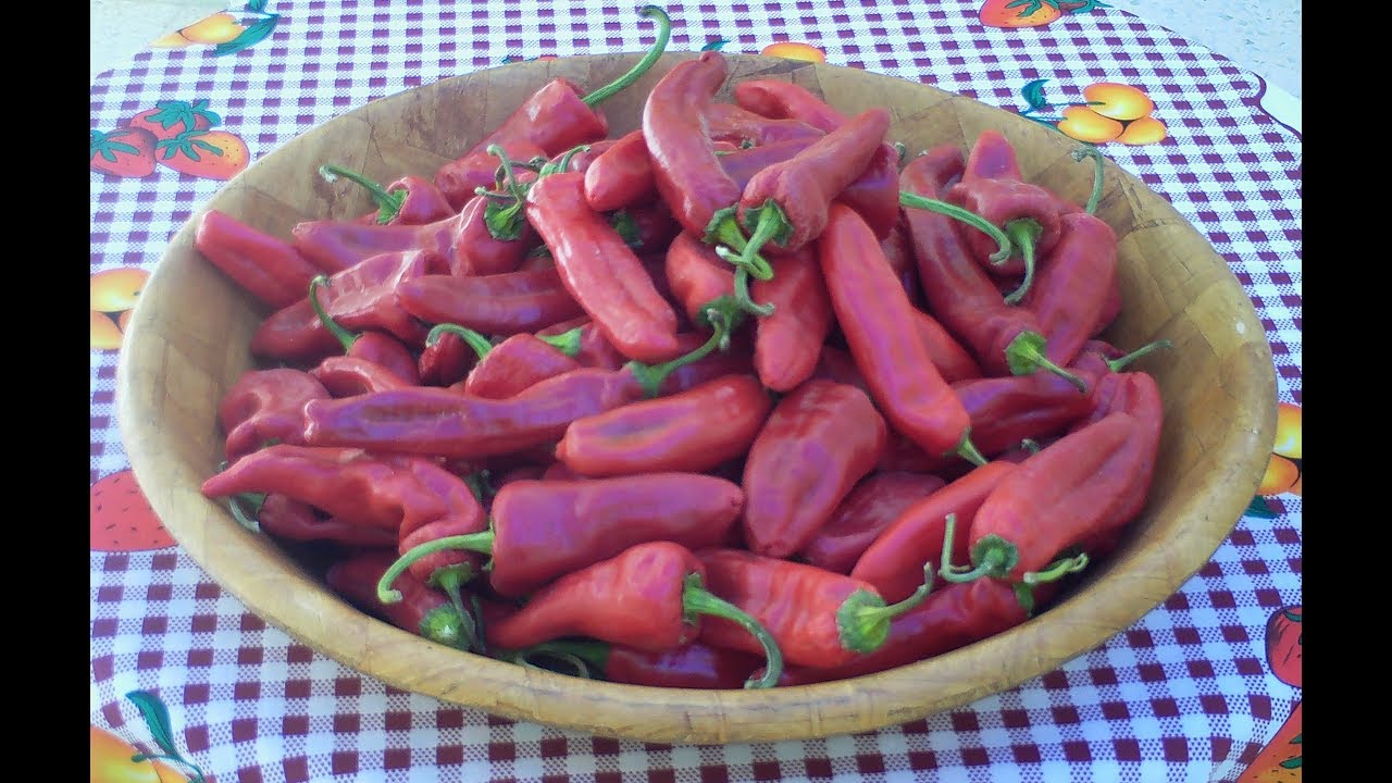 HARISSA ET FELFEL A GAFSA هريسة دياري وفلفل مرحي في قفصة