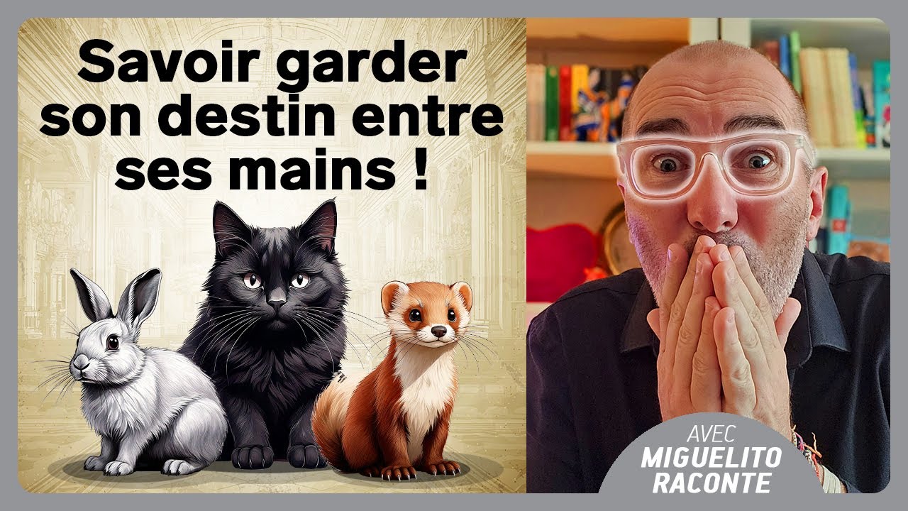 Le Chat, la Belette et le Lapin | Fable de La Fontaine adaptée