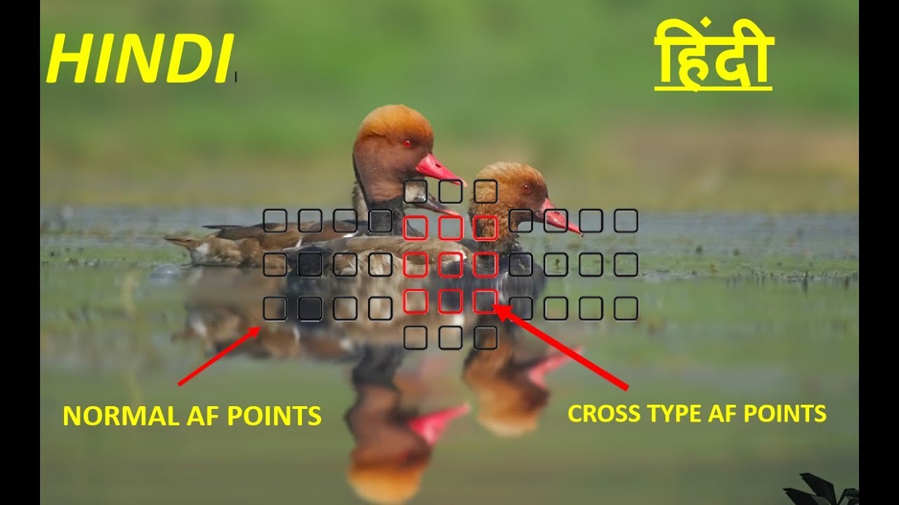 Normal Autofocus Points vs Cross Type Autofocus Points Explained | Phase Detection Autofocus |