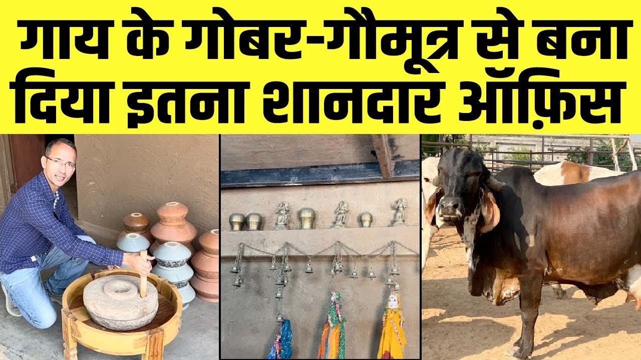 👍Gir-Kankrej गायों की गौशाला में गोबर-गौमूत्र का हाईटेक ऑफ़िस,हर अनाज के लिए अलग चक्की। Raju Gandhi