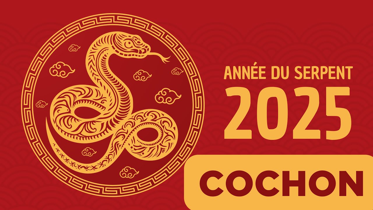Horoscope chinois 2025 : le signe du Cochon astrologie 2025, ann&eacute;e du Serpent de bois