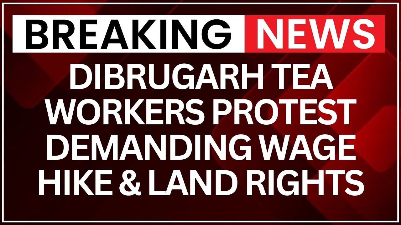 Assam Protest: Thousands Join Assam Tea Workers Strike Over Pay and Land Demands | NewsX