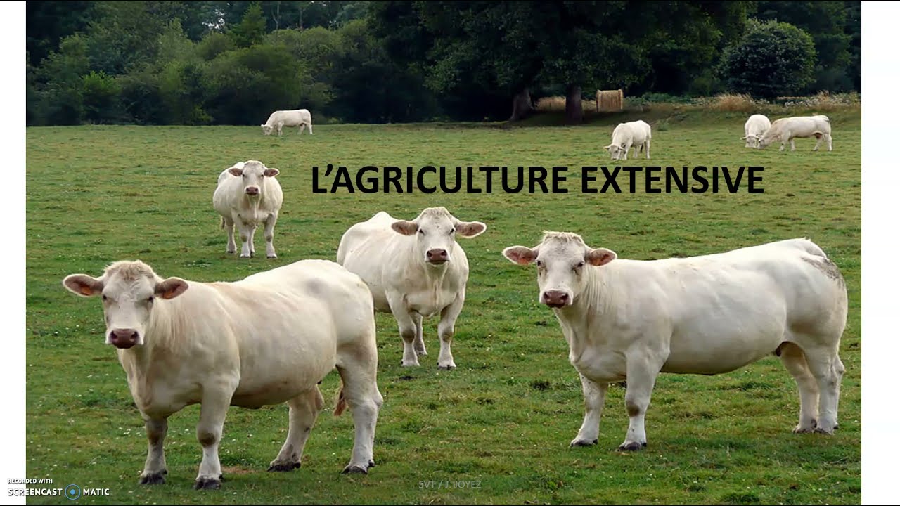 Caractéristiques des agrosystèmes