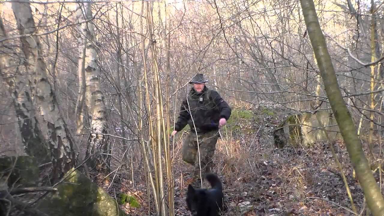 Wanderung Coswig