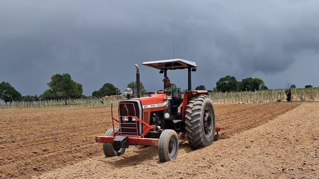 O tempo fechou de chuva quando o tratorista RÓ  tava trabalhando com o sucador no trator MF290