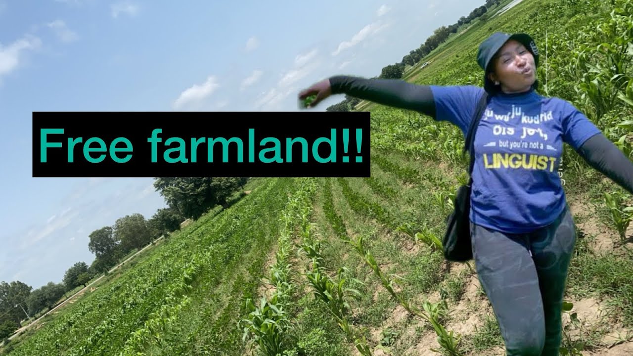 5 Easy ways to get FARMLAND IN NIGERIA || land for farming in Nigeria