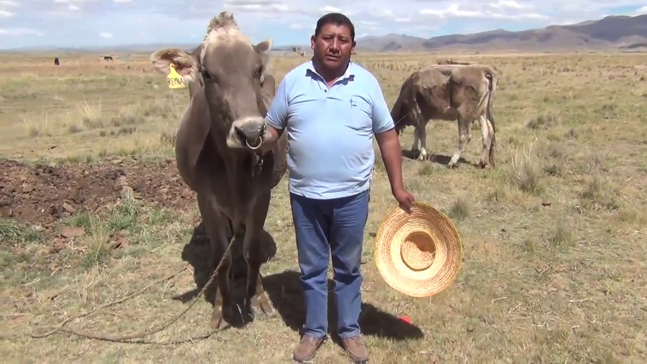 EMPRESARIO GANADERO