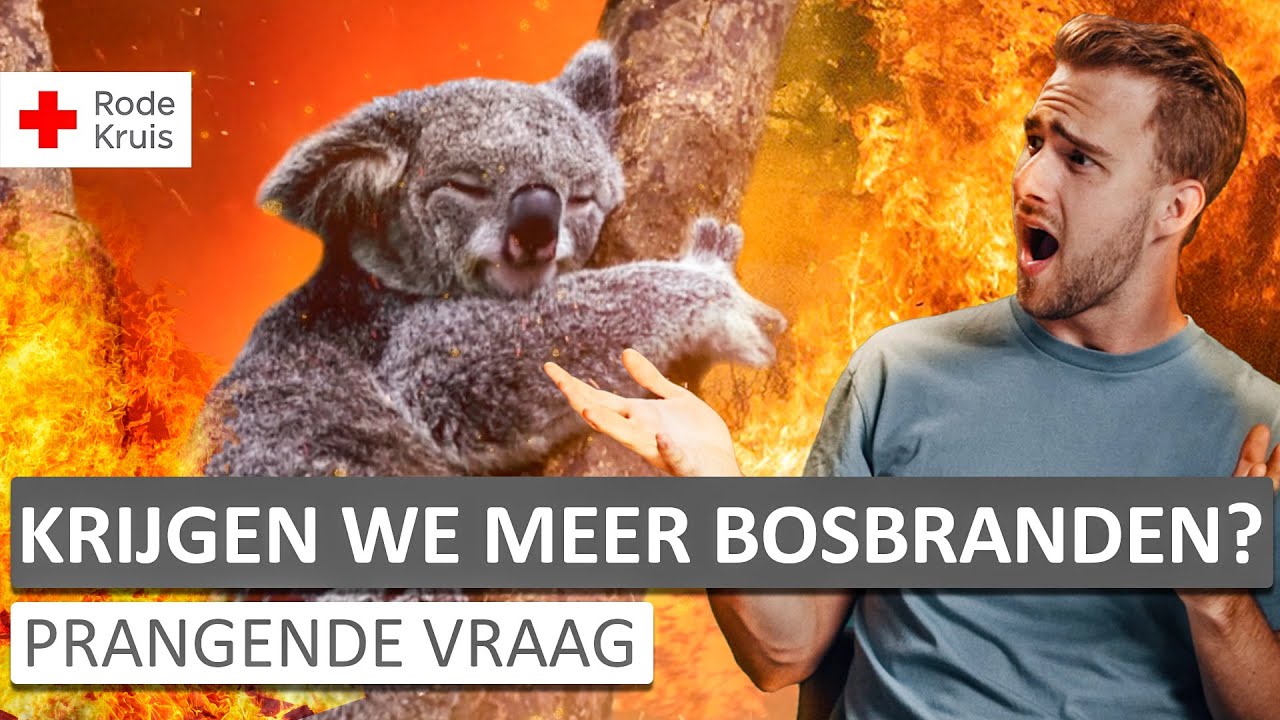 Krijgen we door klimaatverandering steeds vaker bosbranden? | Rode Kruis