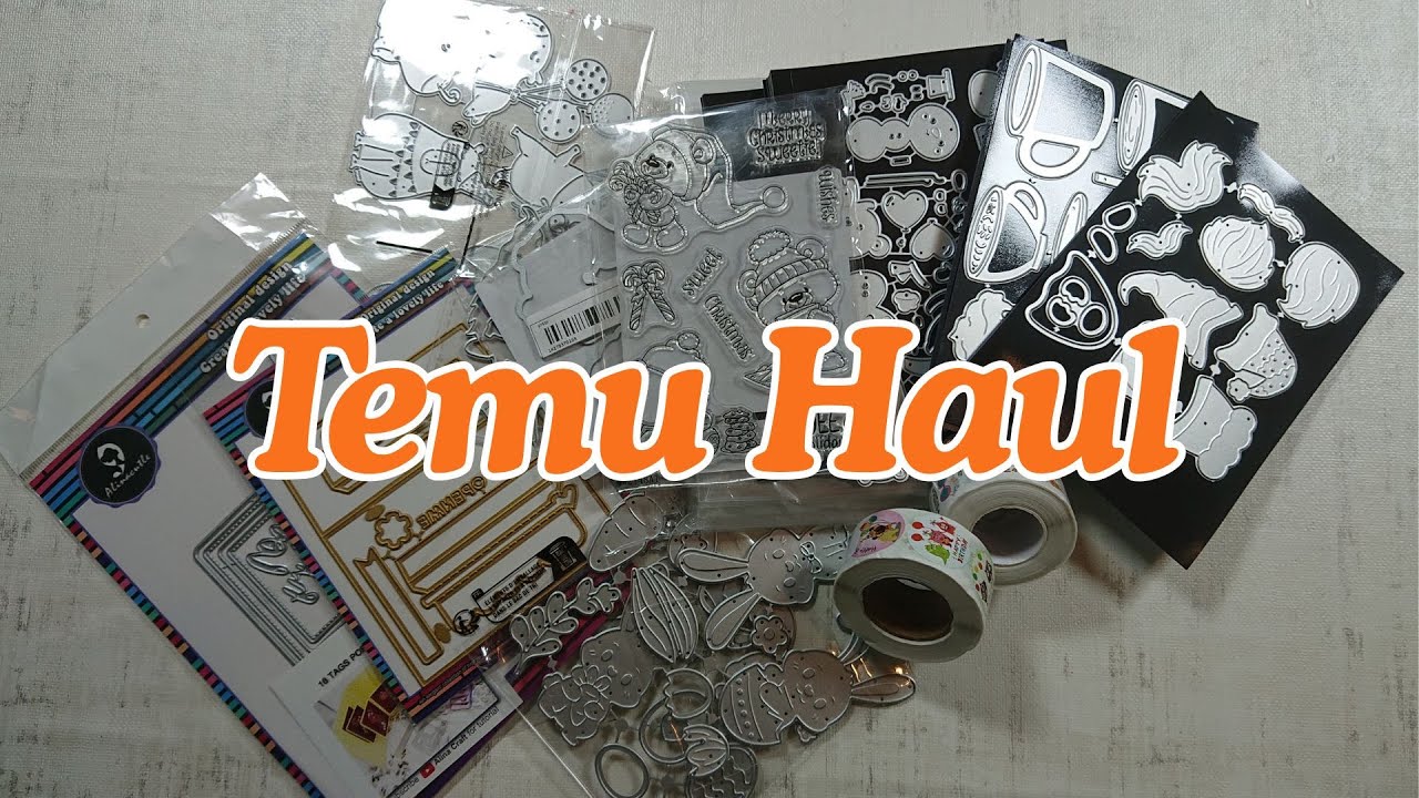 Temu Haul Dezember 2025