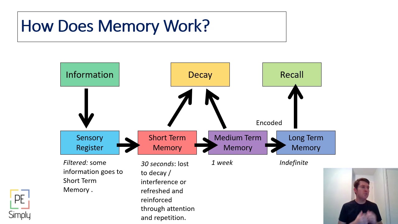 How to Revise for your GCSE PE Exam