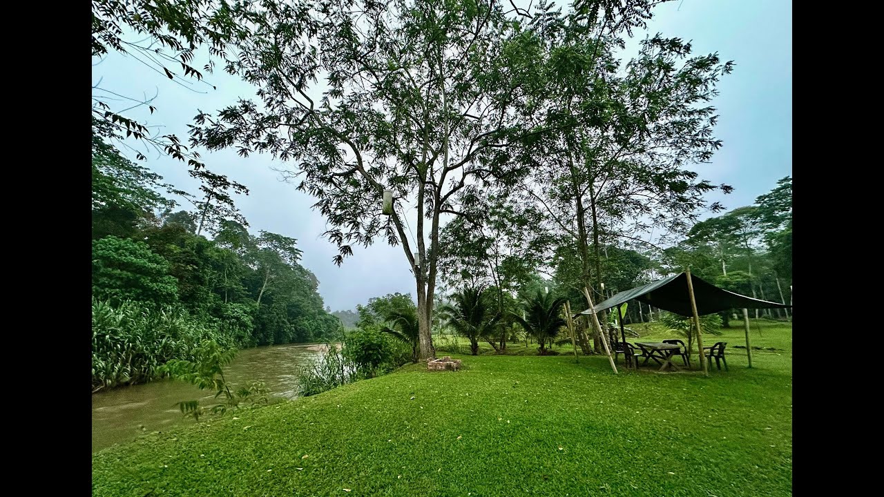 Surrounded By Nature - Glamping At Kongkoi, Negeri 9 - 4th Camping  #12